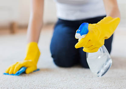 Advice lay hotel localised cleaning carpet