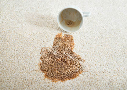 Advice clean hotel stain coffee carpet