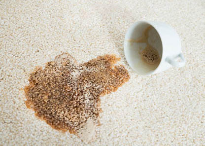 Advice clean stain coffee carpet