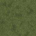 Moquette Take a Walk 240