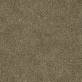 Moquette Take a Walk 232