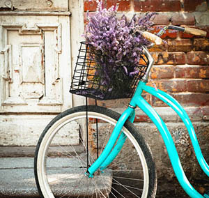 Inspiration decor flowers bicycle blue